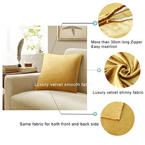 GIGIZAZA Gold Velvet Decorative Throw Pillow Covers for Sofa Bed 2 Pack Soft Cushion Cover (Gold, 18 x 18- Set of 2)